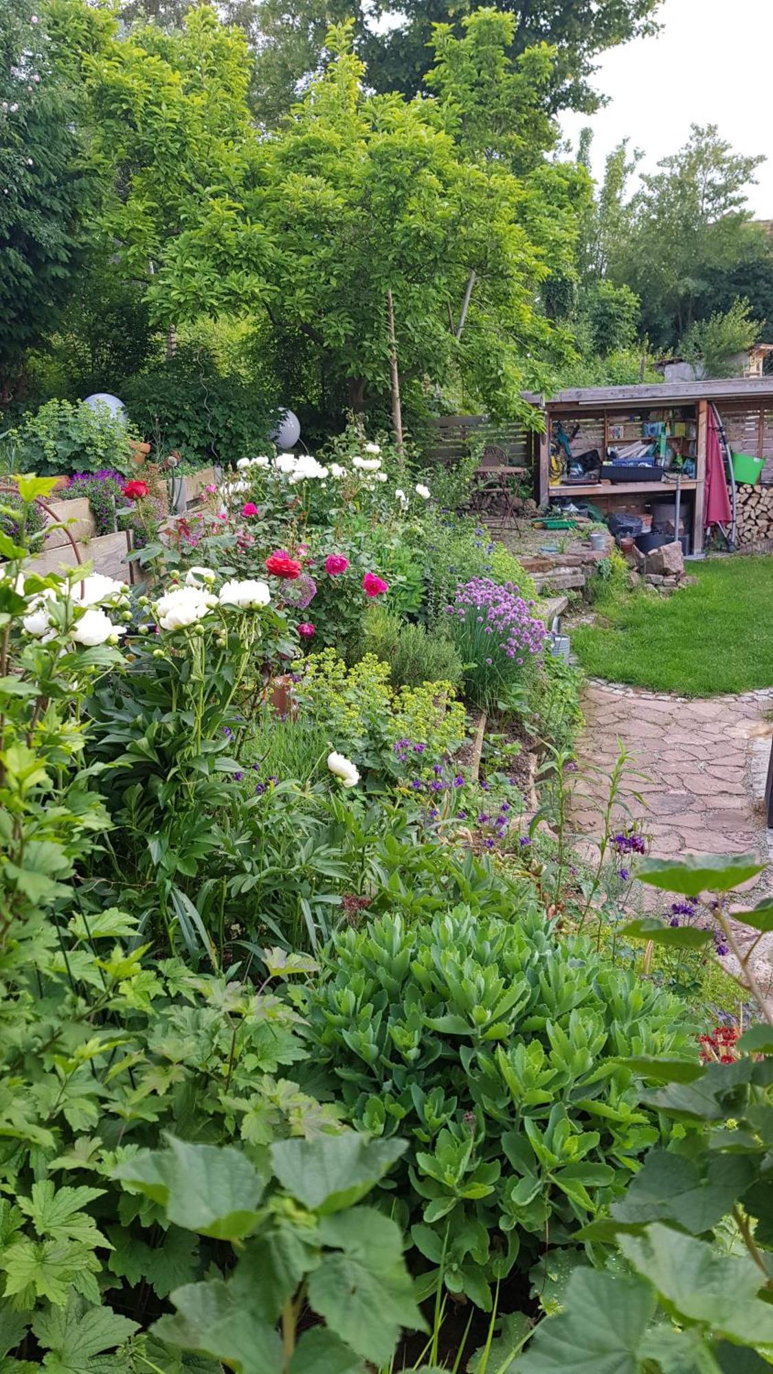 Wohnung Mit Sauna, Garten & Schwimmteich Bietigheim-Bissingen Luaran gambar