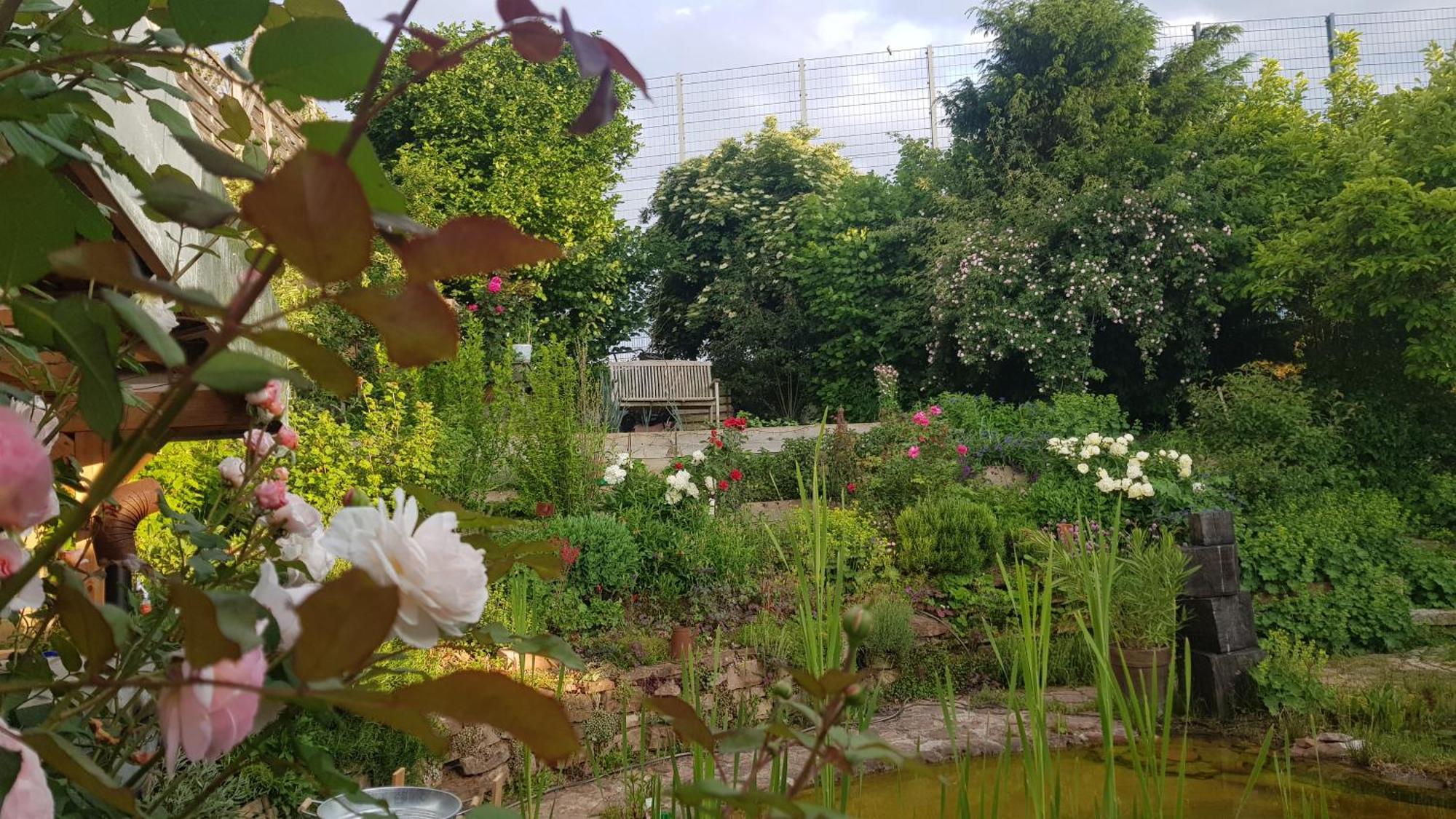 Wohnung Mit Sauna, Garten & Schwimmteich Bietigheim-Bissingen Luaran gambar
