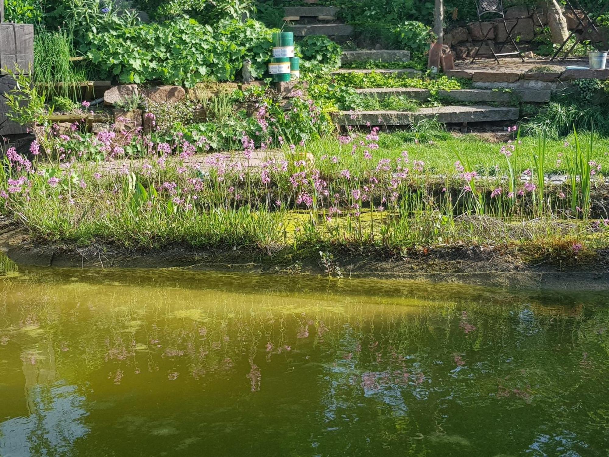 Wohnung Mit Sauna, Garten & Schwimmteich Bietigheim-Bissingen Luaran gambar