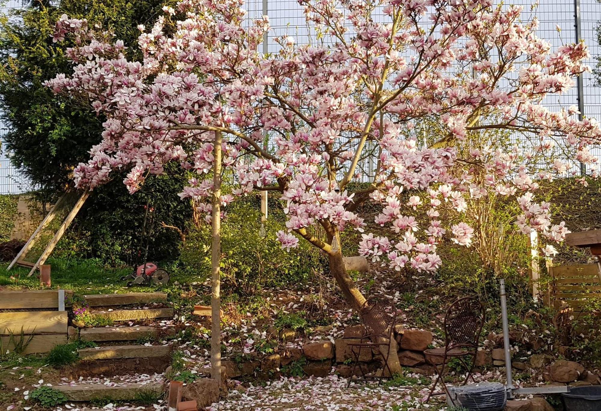 Wohnung Mit Sauna, Garten & Schwimmteich Bietigheim-Bissingen Luaran gambar